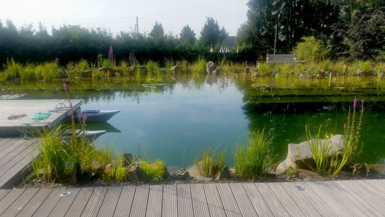 Schwimmteich300-012